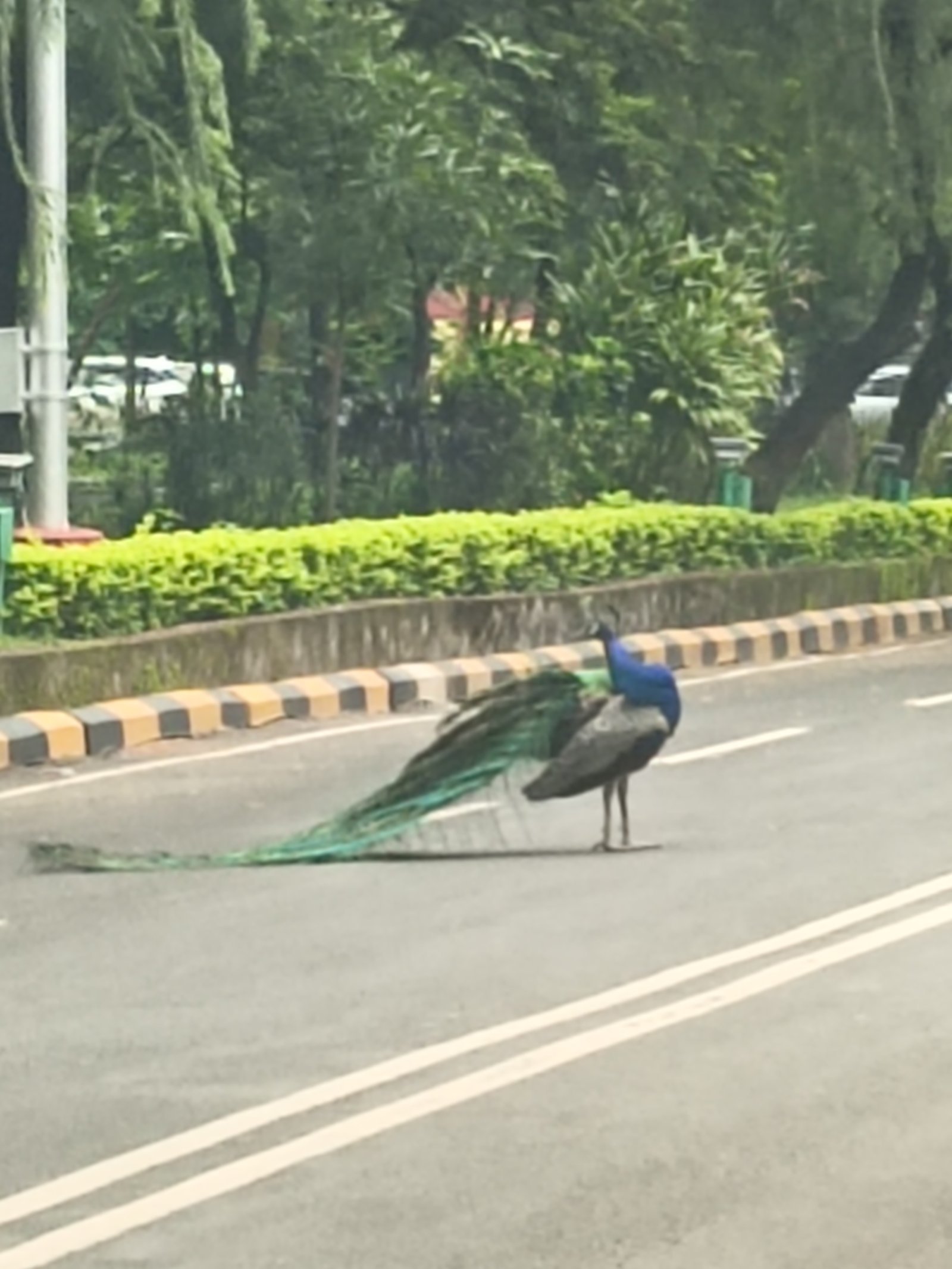 Car wash